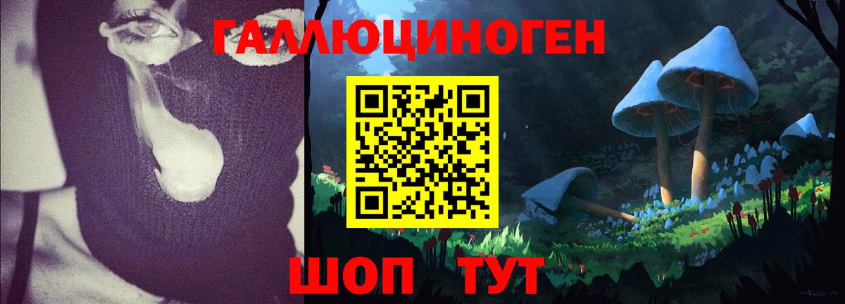 Галлюциногенные грибы ЛСД Губаха